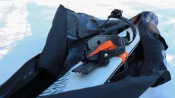 Altai liukulumikenkäkassi