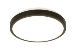 Aneta Lighting plafondi Anillo LED valkoinen