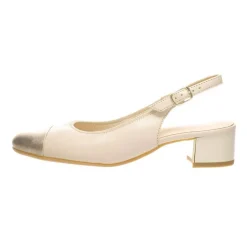 Ara avokkaat Nizza 2.0