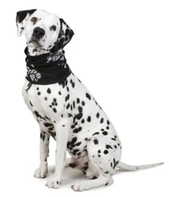 Best Friend koiran heijastava tuubihuivi