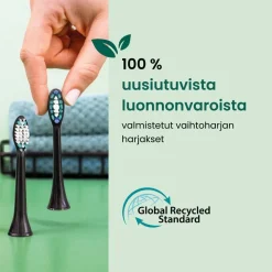 Beurer vaihtoharja SC Classic Clean Sonic-sähköhammasharjaan