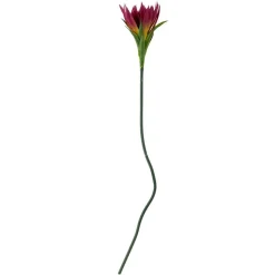 Bloomingville koristeoksa Lily violetti