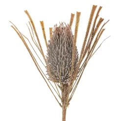 Bloomingville koristeoksa Palmflower ruskea