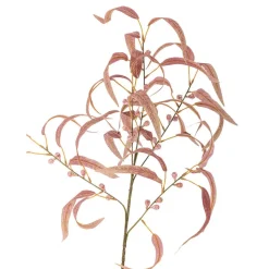 Bloomingville koristeoksa Eucalyptus punainen