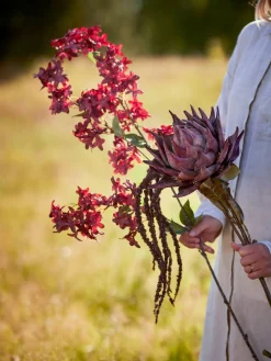 Bloomingville koristeoksa Protea violetti