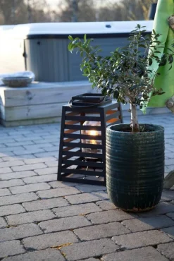 By Rydéns ulkovalaisin Yankton hiekanmusta