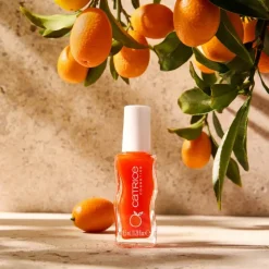 Catrice huulikiilto Summer Lips Lip Glaze C02