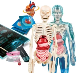 Clementoni tiedesetti Anatomia Super
