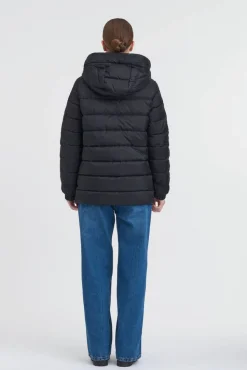 Create untuvatakki SOFIA