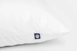 Familon Grande tyyny 60x80 cm