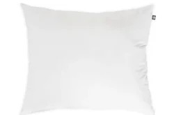 Familon Superior tyyny 50x60, 700g