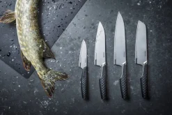 Fiskars Taiten santokuveitsi 16 cm