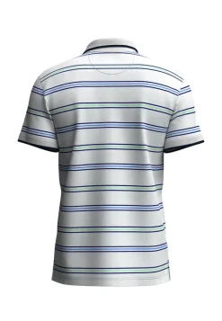 Fynch-Hatton pikee 1505 1581