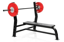 Gymstick punnerruspenkki 7.0