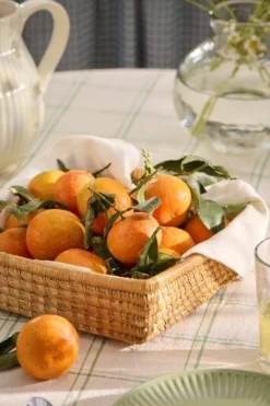 IB Laursen säilytyskori neliö