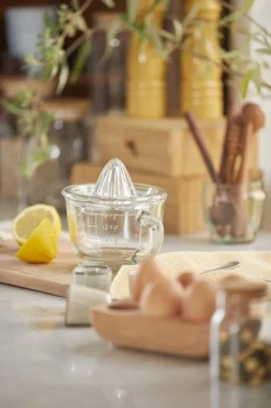 IB Laursen sitruspuristin