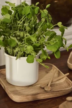 IB Laursen suolalusikka acacia wood