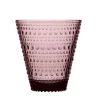 Iittala Kastehelmi juomalasi 30 cl 2 kpl kanerva