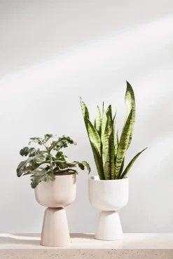 Iittala Nappula Ruukku 260x155 mm beige