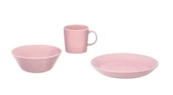 Iittala Teema kulho 15 cm ruusu