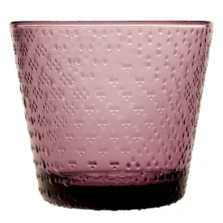 Iittala Tundra juomalasi 29 cl kanerva