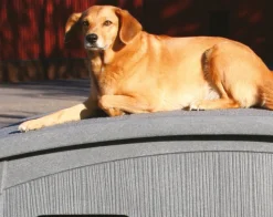 Jämpti lämpöeristetty koirankoppi harmaa