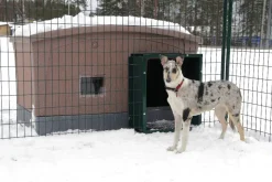 Jämpti tunneli vihreä