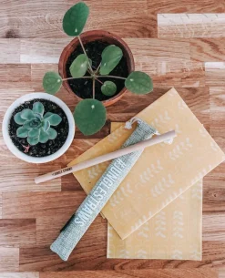 Jungle Straw Bambupillisetti 6 kpl