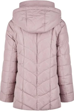 Lebek takki 30290052