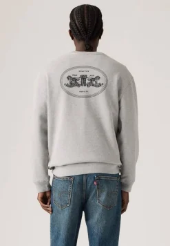 Levi's college Relaxed Graphic Crew