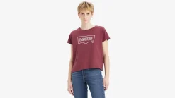 Levi's t-paita Graphic Boxy