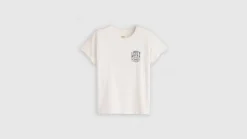 Levi's t-paita Graphic Boxy t-shirt