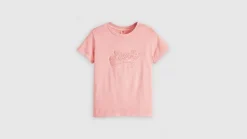Levi's t-paita Graphic Boxy t-shirt