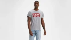 Levi's t-paita Graphic Set-In Neck