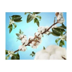 Maison Berger huonetuoksu Cotton Caress 100 ml