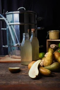 Marjukka mehustin 8 L