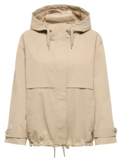 Only takki Onlorchid