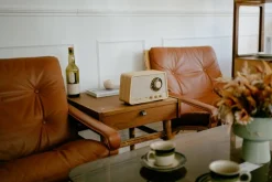 Sangean radio WR-101 Bluetooth vaalea tammi