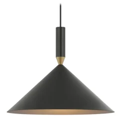 Sessak riippuvalaisin Adrian musta