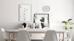 Sessak riippuvalaisin Adrian valkoinen