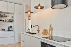 Sessak riippuvalaisin Jules L mattamusta