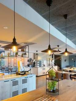 Sessak riippuvalaisin Jules L mattamusta