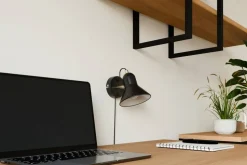 Sessak seinävalaisin Ivy musta