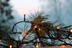 Star Trading valosarja Golden Warm White 40 LED musta 2,8m