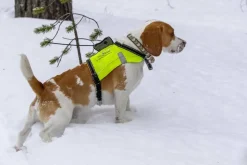 Tracker valjas G500/G1000 M -koko