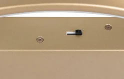 Trio Lighting kattovalaisin Darvin LED kulta