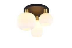 Trio Lighting kattovalaisin Diva 3-os E27 mattamessinki/valk