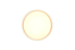 Trio Lighting LED kattovalaisin Felis 40 cm mattavalkoinen