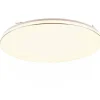 Trio Lighting LED kattovalaisin Blanca 53 cm valkoinen