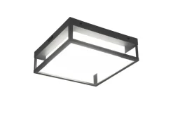 Trio Lighting LED kattovalaisin Witham antrasiitti